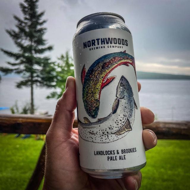 “Landlocks & Brookies” • The fam and I were out trying to find moose along the dirt roads when we stumbled upon an apparently unnamed pond on the Connecticut River, which is scarcely more than a humble brook that far up.