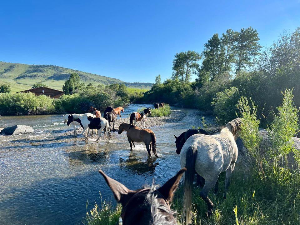 A beautiful Montana morning