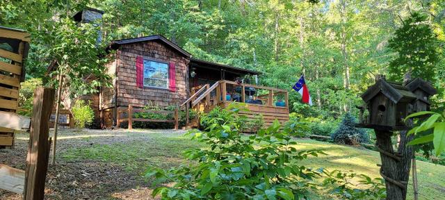 My safe cabin 🐻 home from the world in Western NC Blueridge Mountains 