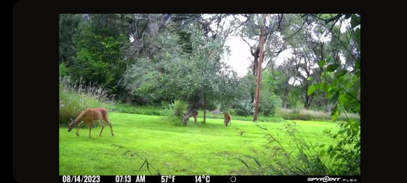 Deer season is right around the  corner.