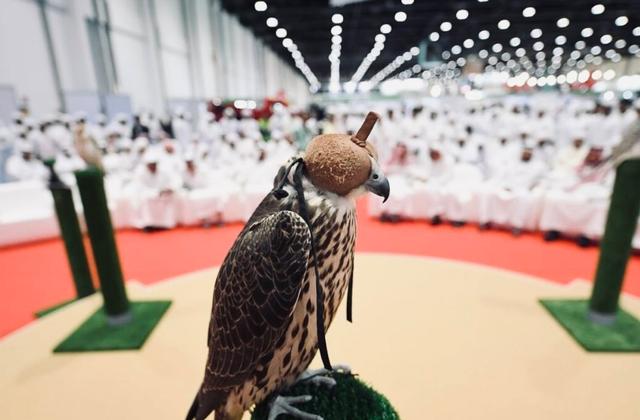 ADIHEX-中東で最大の狩猟＆馬術展示会。