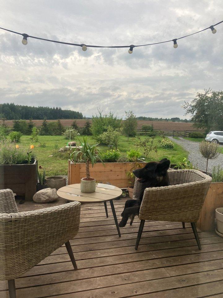 Greetings from Estonia