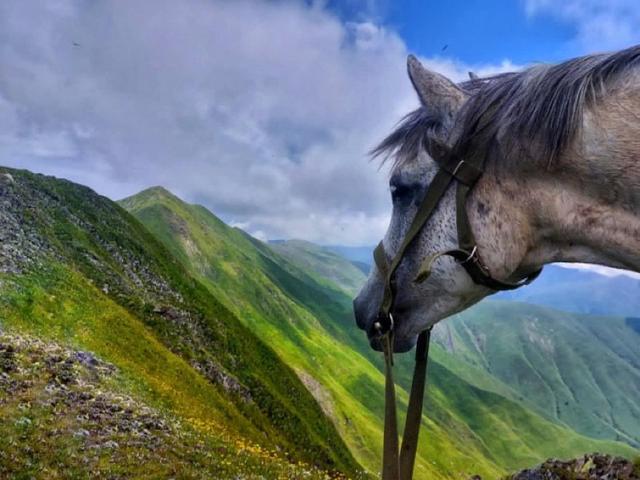 🇬🇪