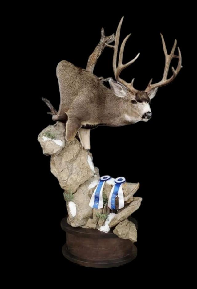 With all the hunts starting to fire up BlueRidge Taxidermy  just wanted to say good luck.