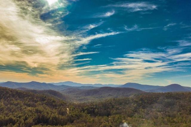 My safe cabin 🐻 home from the world in Western NC Blueridge Mountains 