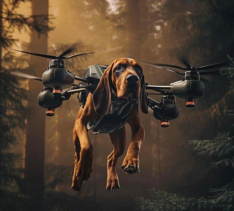 The ultimate wounded deer recovery service…coming to a woods near you 😂😂😂