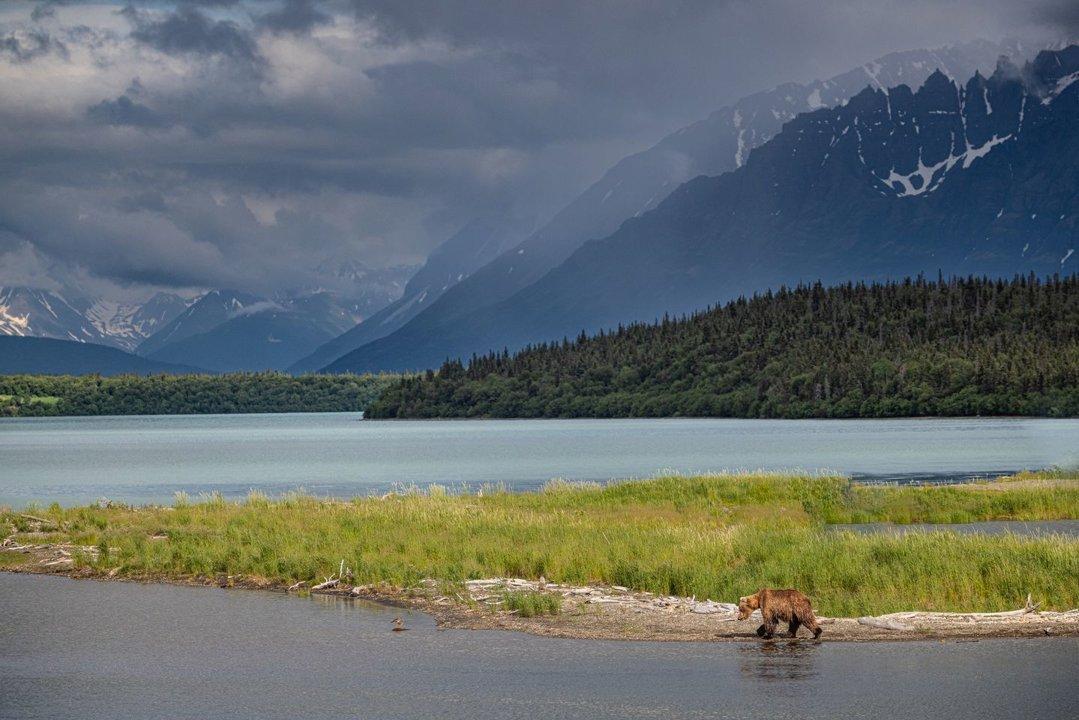 Brooks Falls in Katmai National Park is a justifiably famous location for photography.
