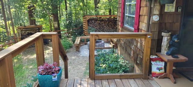 My safe cabin 🐻 home from the world in Western NC Blueridge Mountains 