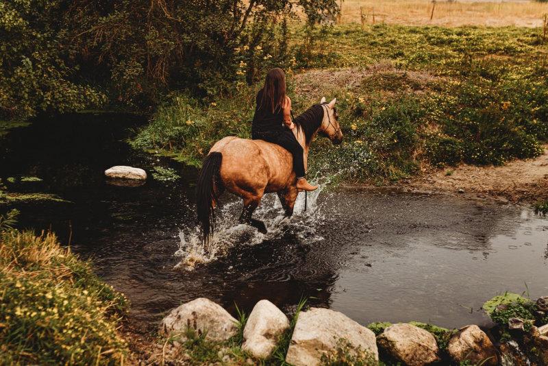 Has anyone ever had there horse be genuinely mad at them and had a sad connection loss 😣 I’ve had my mare for 15 years and we recently had to sell a horse.