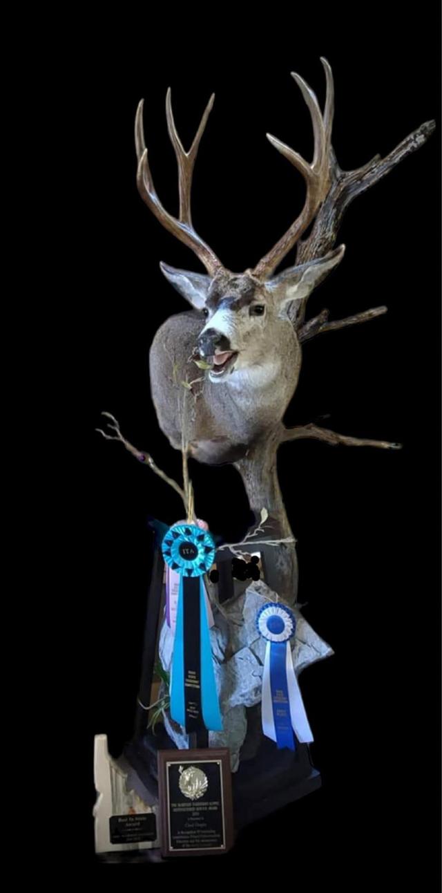 With all the hunts starting to fire up BlueRidge Taxidermy  just wanted to say good luck.