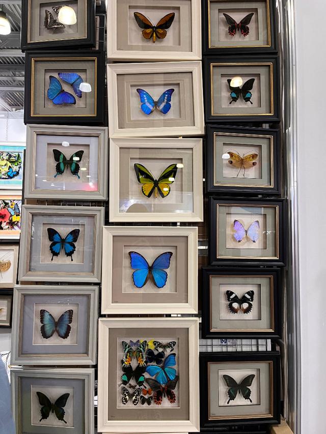 Бабочки 🦋