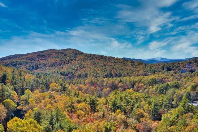 My safe cabin 🐻 home from the world in Western NC Blueridge Mountains 