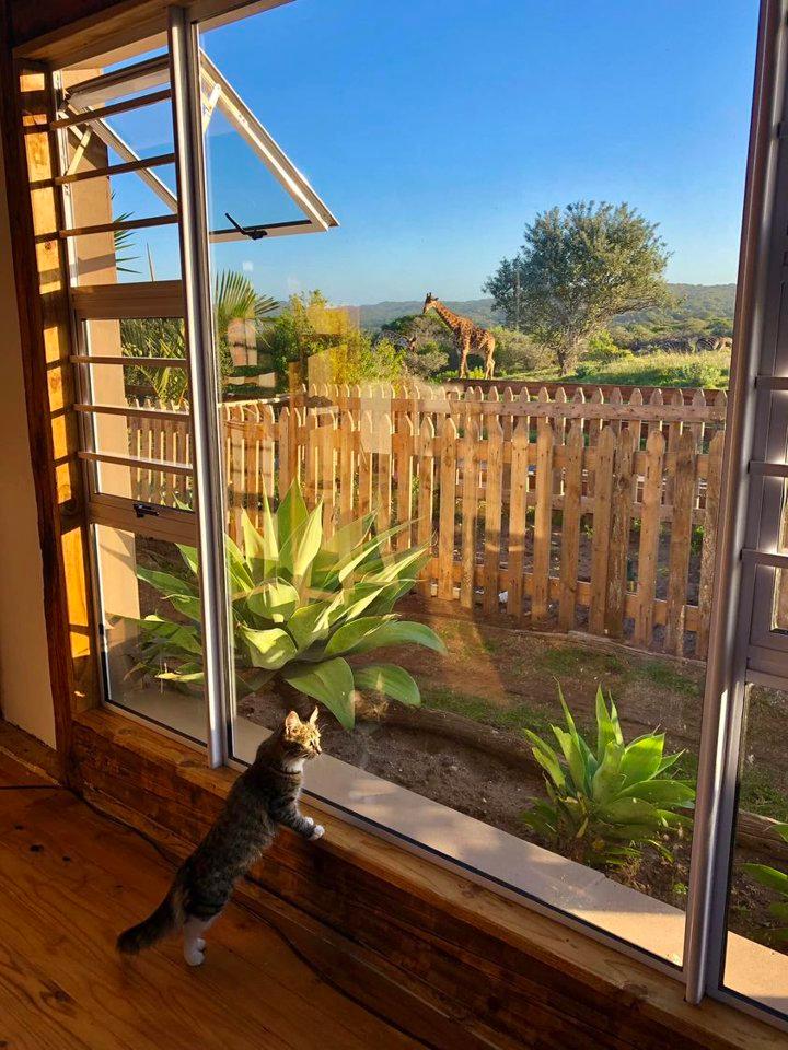 View from my bedroom, South Africa