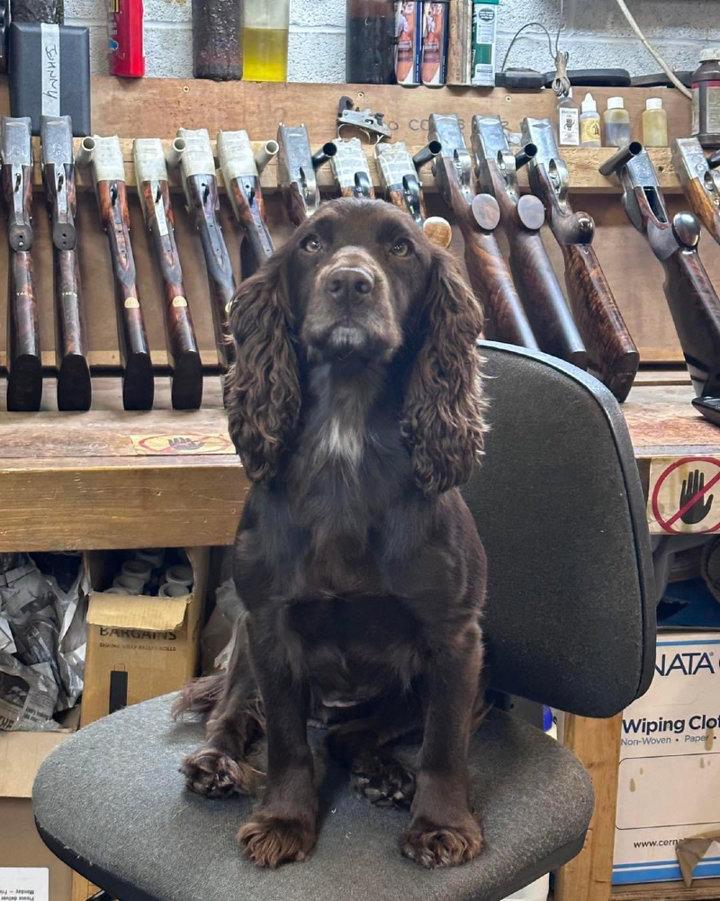 Workshop security