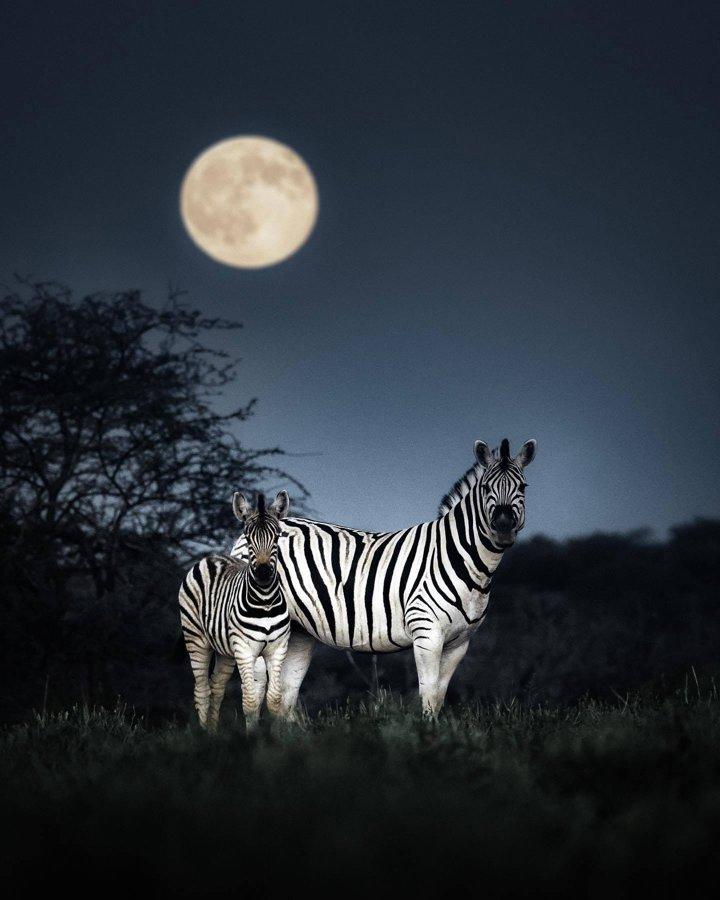 Namibian Moonrise..