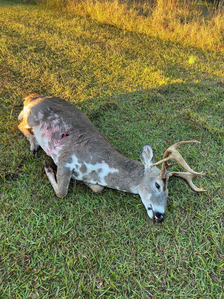 I wanted to share this buck of a lifetime i shot this past saturday.