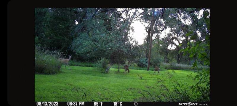 Deer season is right around the  corner.