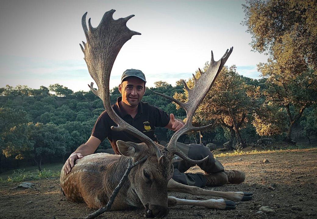 rececho gamo roncadelgamo cazamayor recechos hunters hunting spainhunters cazaenespaña hunt caza cazaypesca cazador ciervo