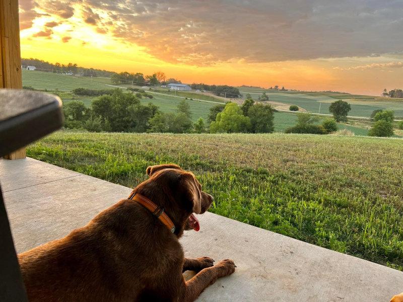 My view tonight from rural Iowa 💕